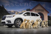 Subaru Ascent 2019 giá 750 triệu đồng "đấu" Hyundai Santa Fe